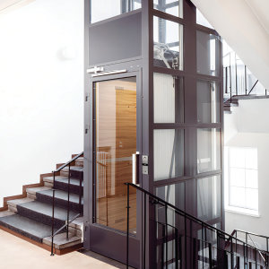 Thang máy lồng kính